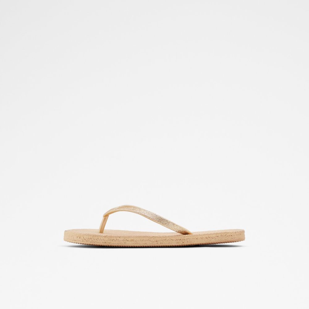 Gold Aldo Aloomba Flat sandal | 590136-EUG