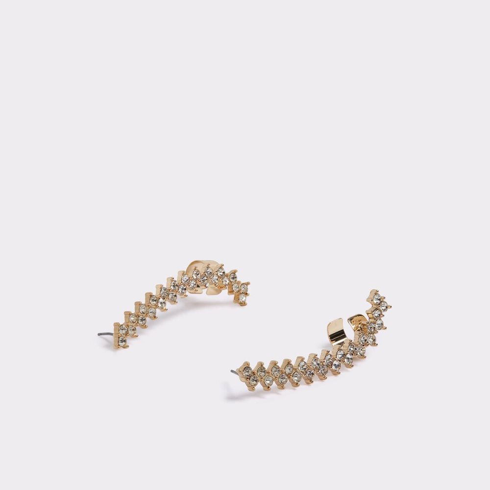 Gold Aldo Barbaiana Earrings | 423517-XSE