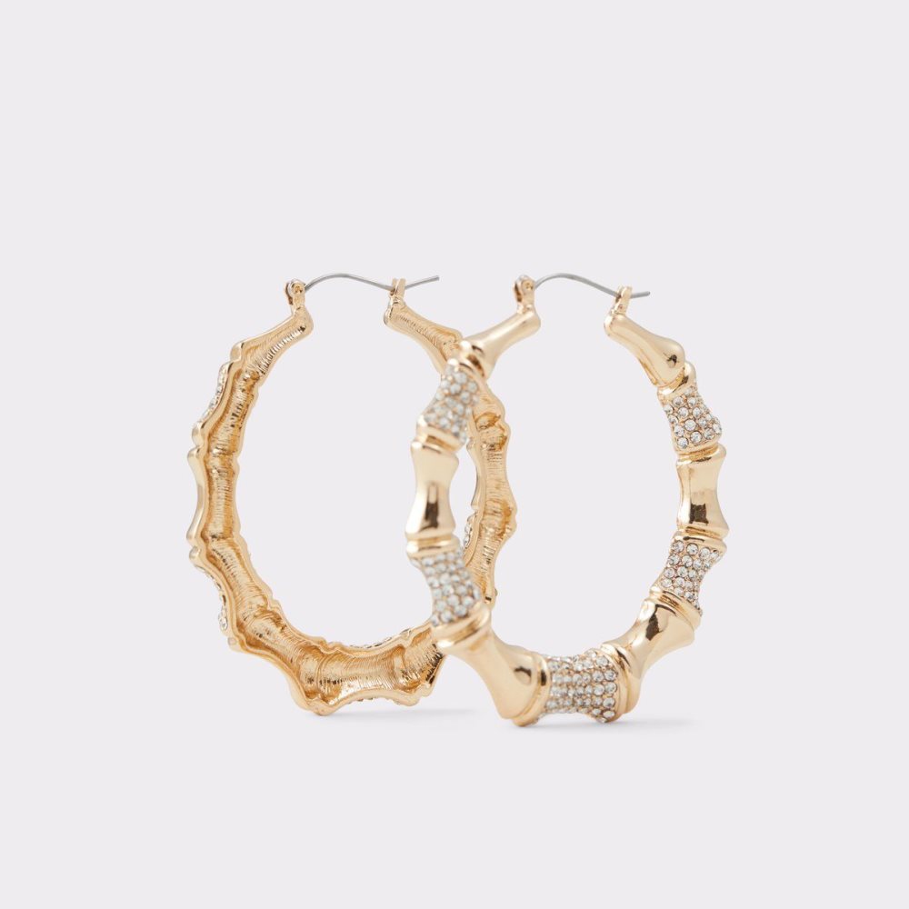 Gold Aldo Farndon Earrings | 259734-BES