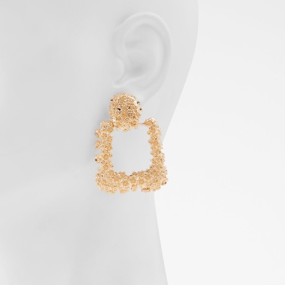 Gold Aldo Preabaen Earrings | 428136-IFW