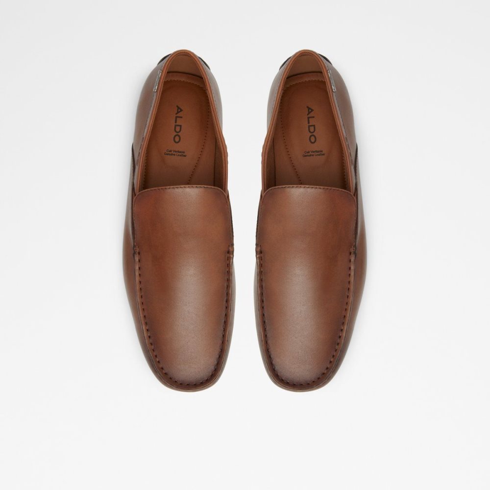 Light Brown Aldo Leibelt Driving shoe | 827063-XTB